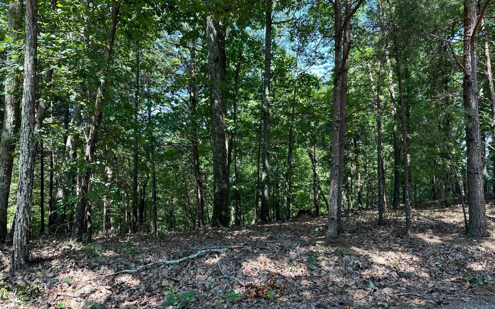 L136 Carters Lake Estates