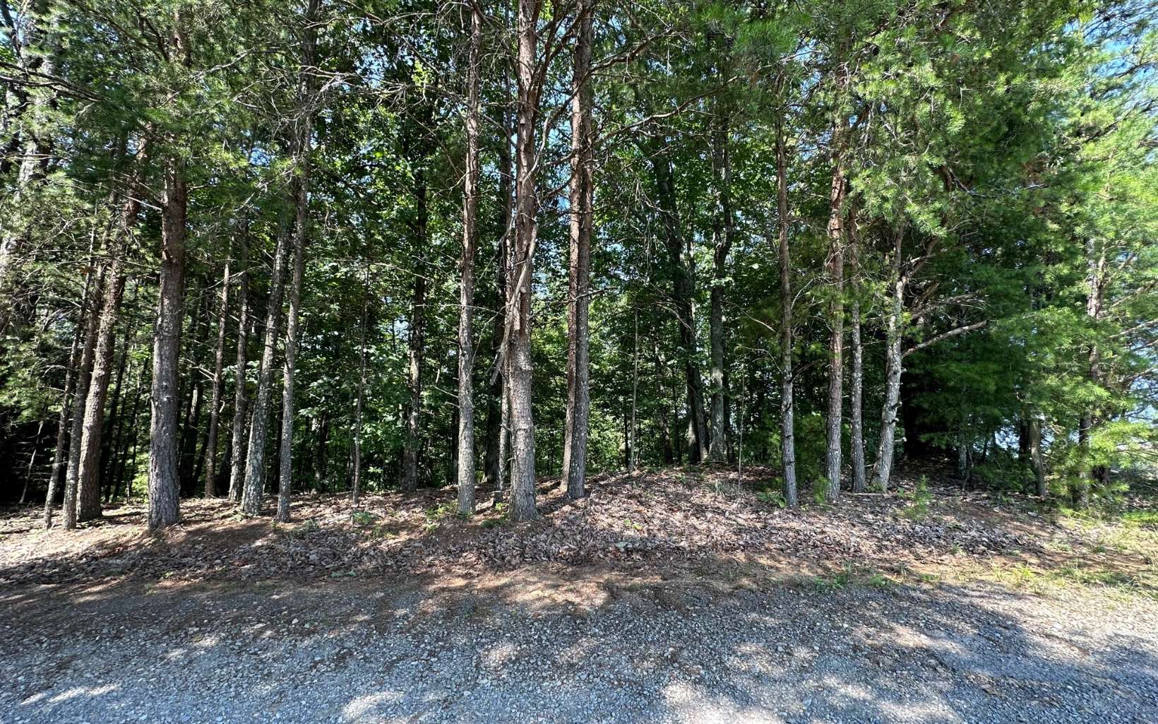 L136 Carters Lake Estates