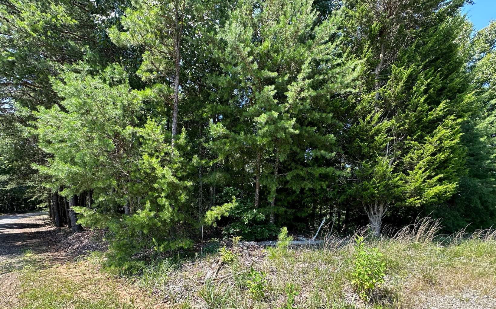 L136 Carters Lake Estates