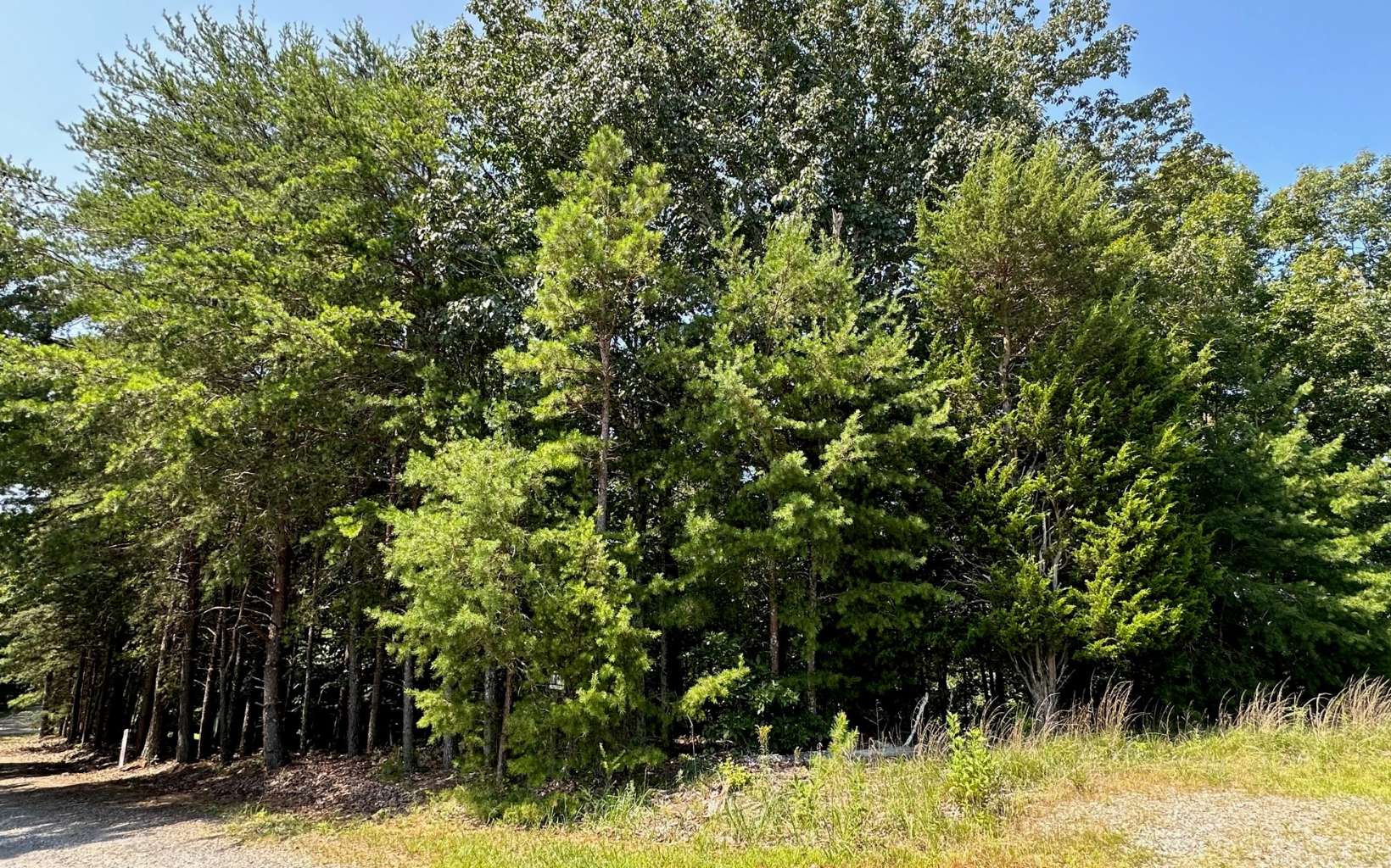 L136 Carters Lake Estates