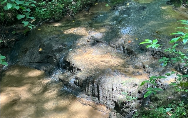 120 Brookhaven Trail