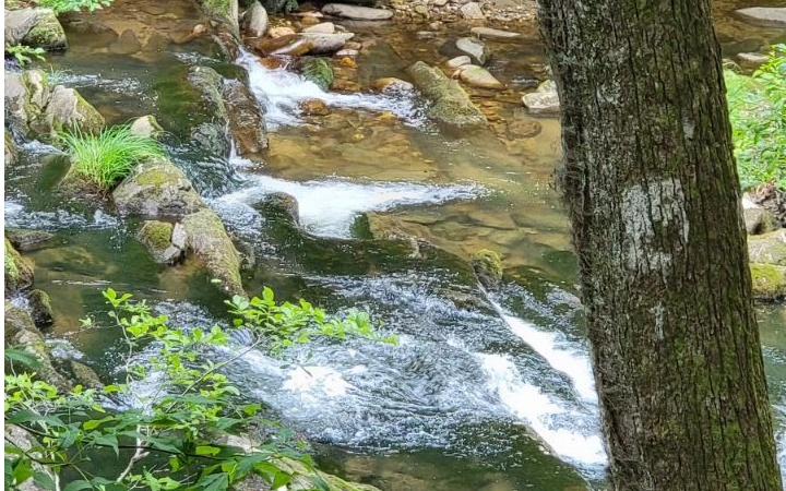 120 Brookhaven Trail