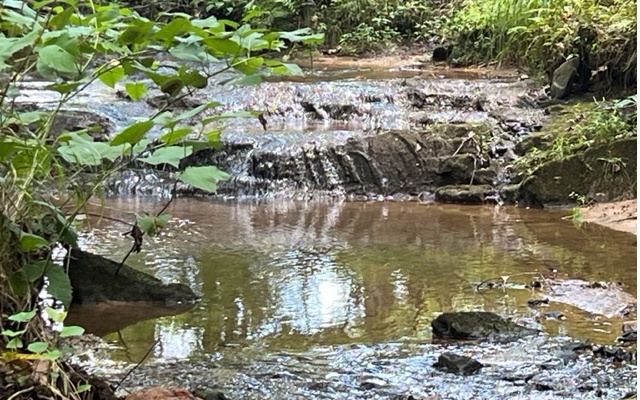 120 Brookhaven Trail