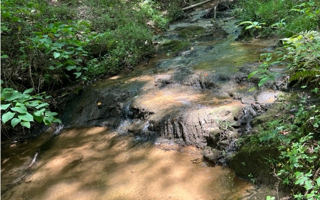 120 Brookhaven Trail