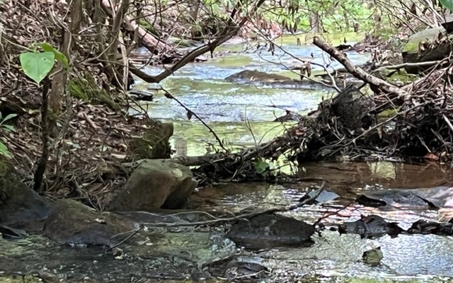 120 Brookhaven Trail