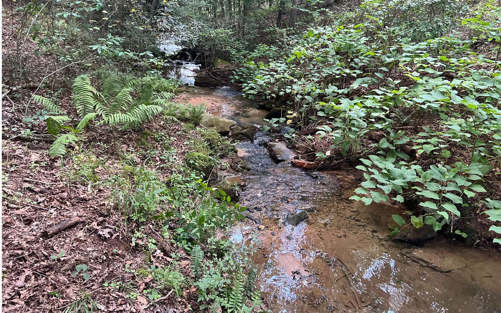 120 Brookhaven Trail