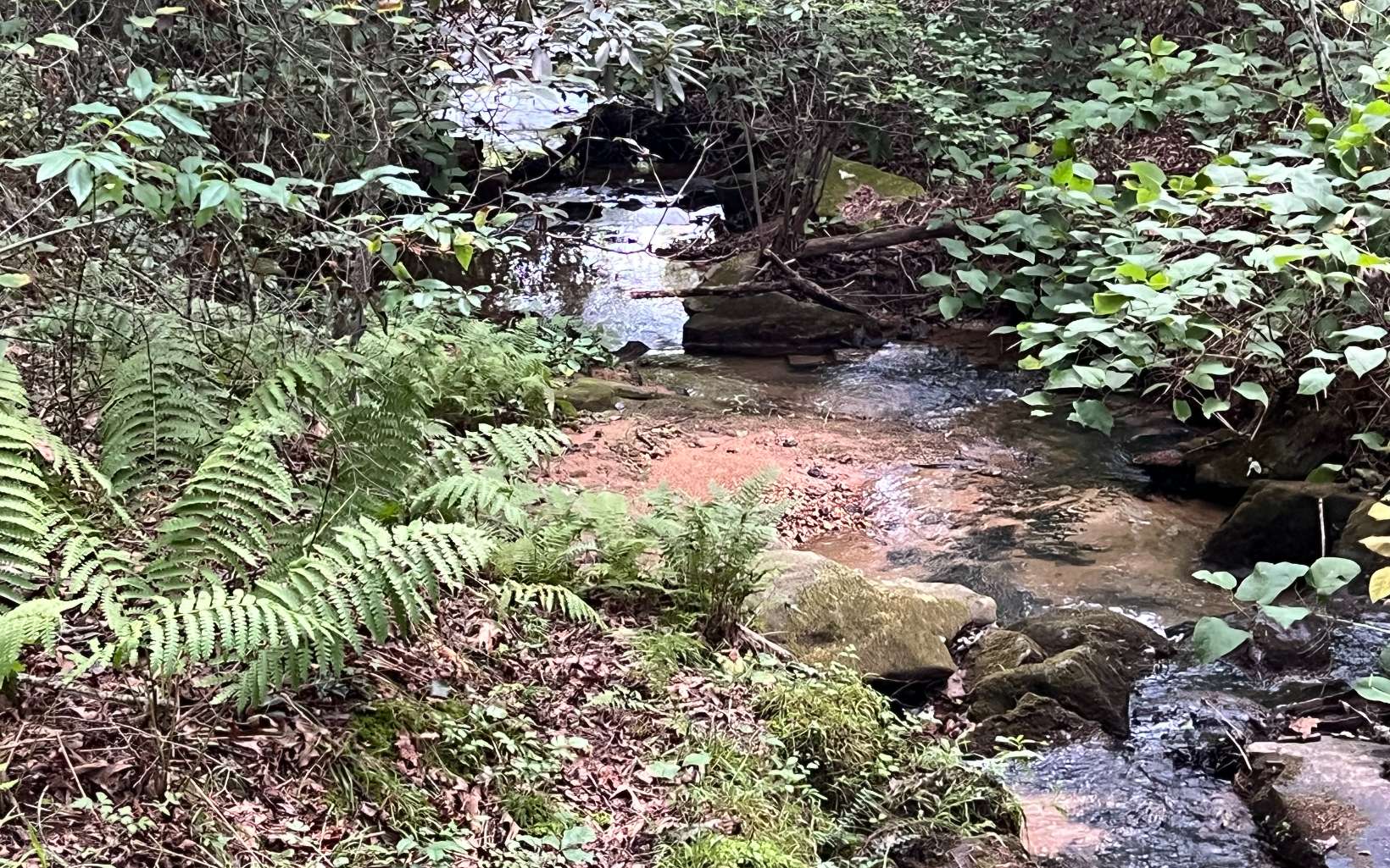 120 Brookhaven Trail