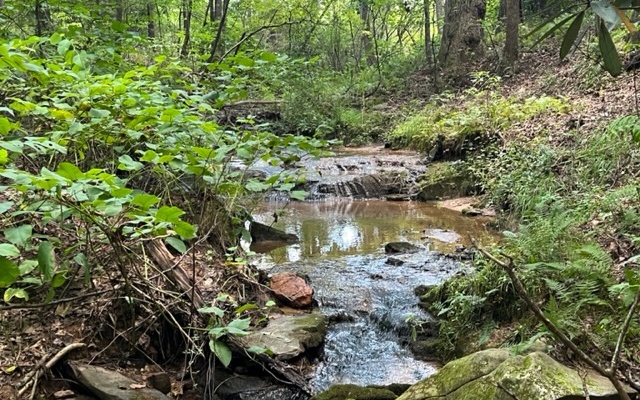 120 Brookhaven Trail