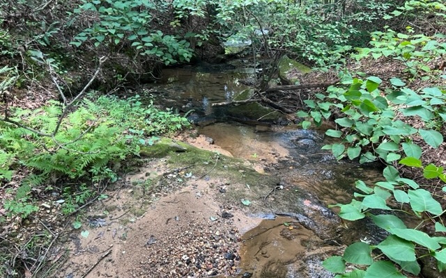 120 Brookhaven Trail