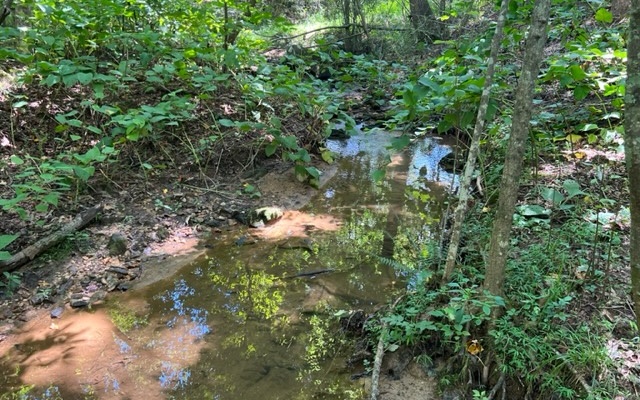 120 Brookhaven Trail