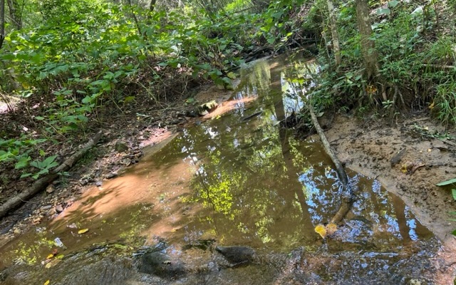 120 Brookhaven Trail