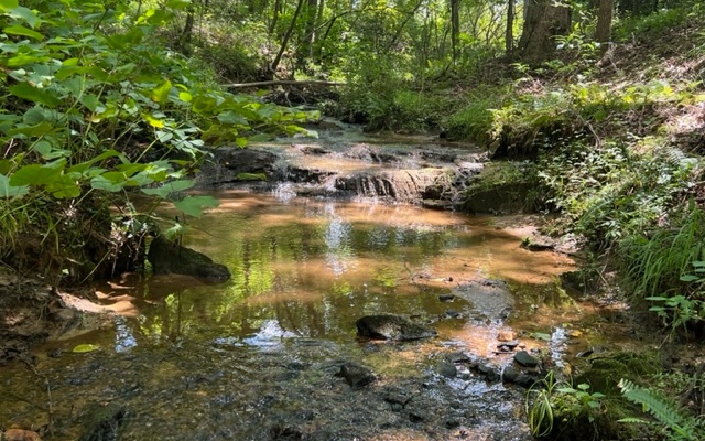 120 Brookhaven Trail