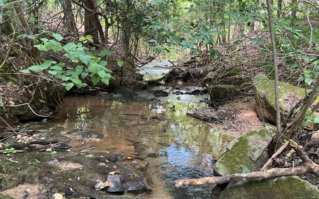 120 Brookhaven Trail