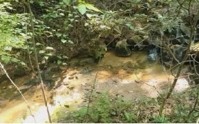 120 Brookhaven Trail