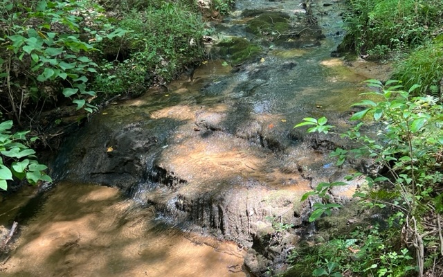 120 Brookhaven Trail