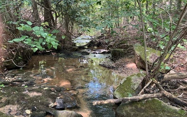 120 Brookhaven Trail