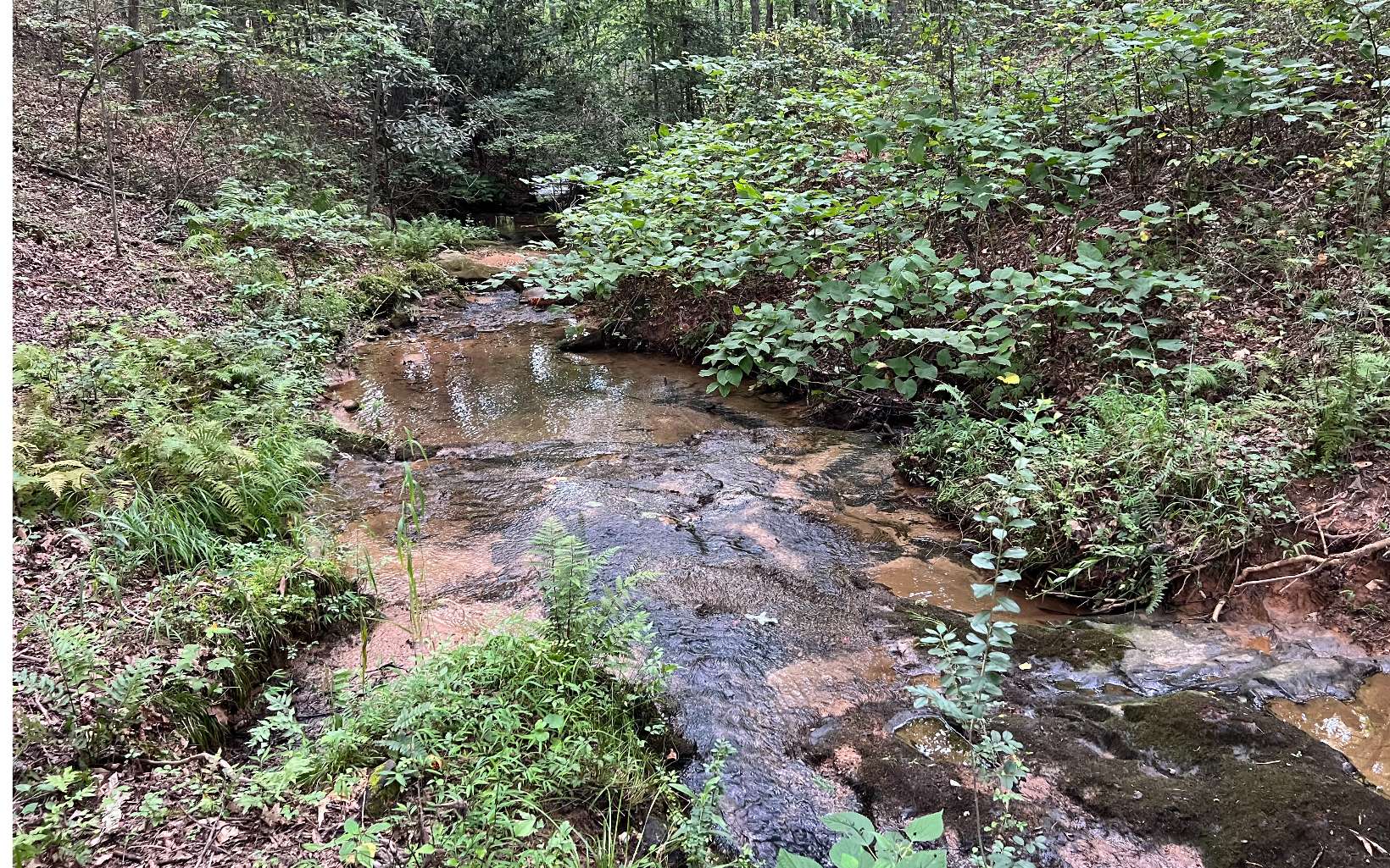 120 Brookhaven Trail