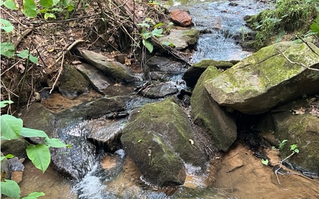 120 Brookhaven Trail