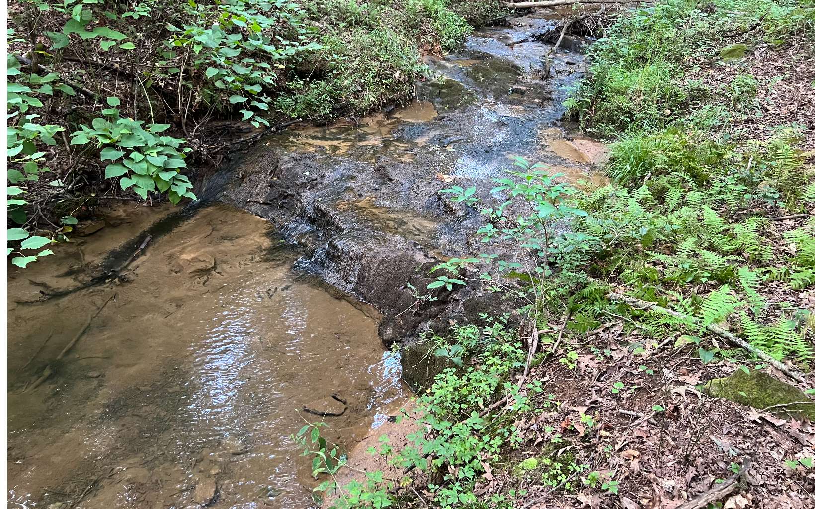 120 Brookhaven Trail