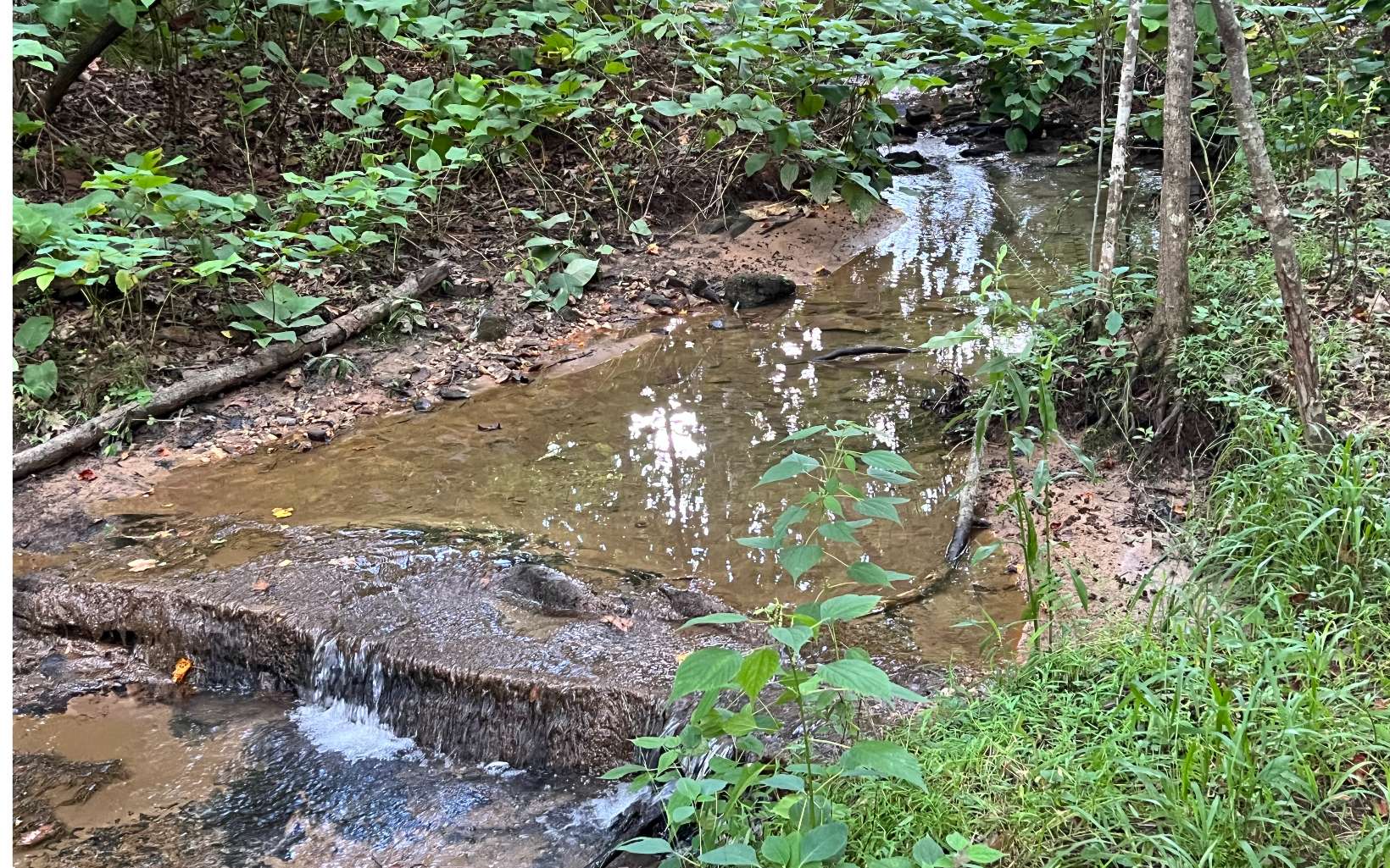 120 Brookhaven Trail