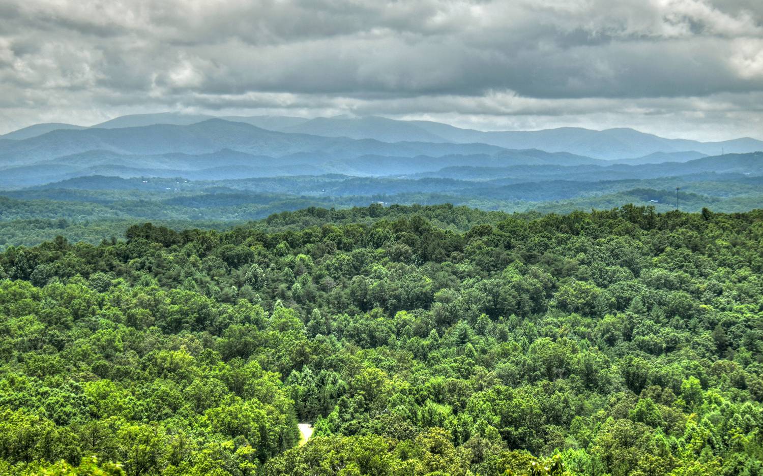 91 Cinnamon Bear Road