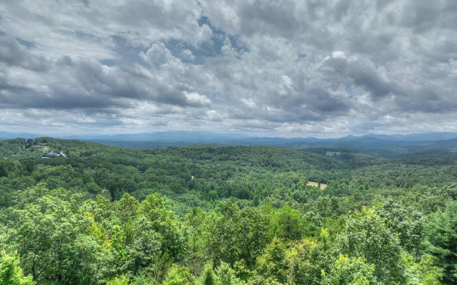 91 Cinnamon Bear Road