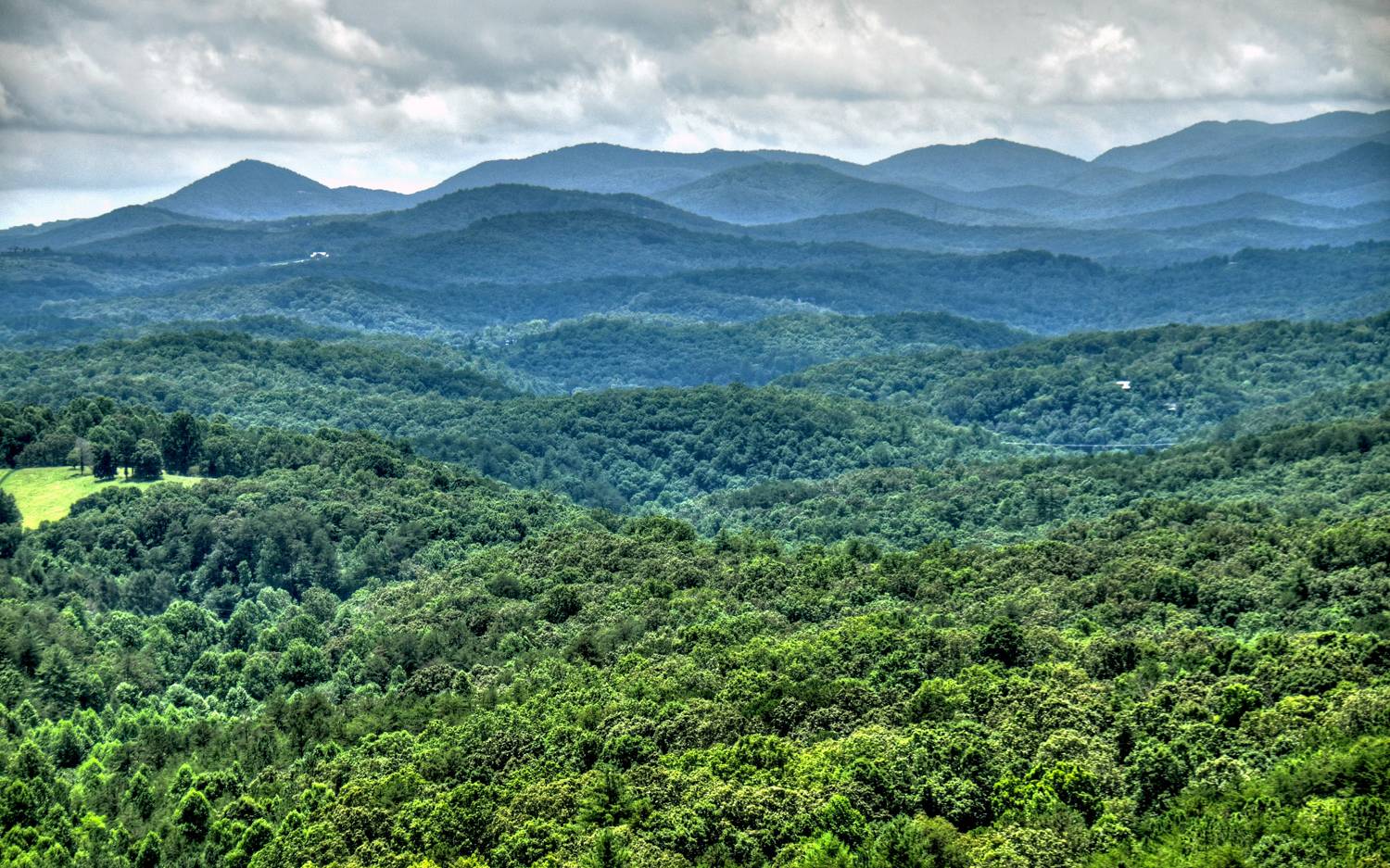 91 Cinnamon Bear Road