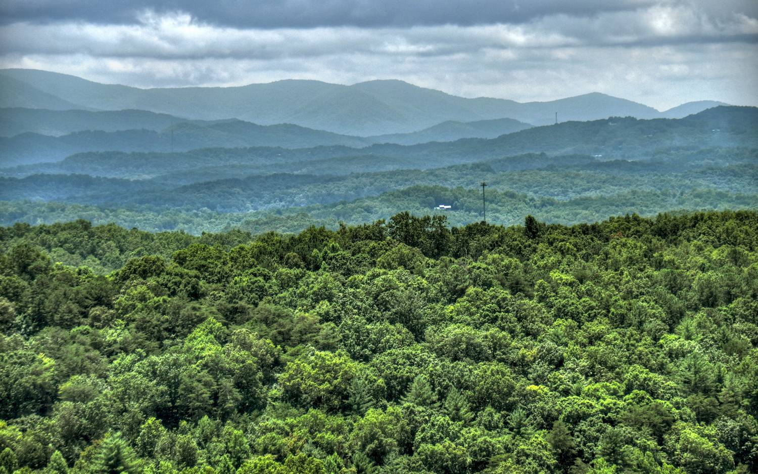 91 Cinnamon Bear Road