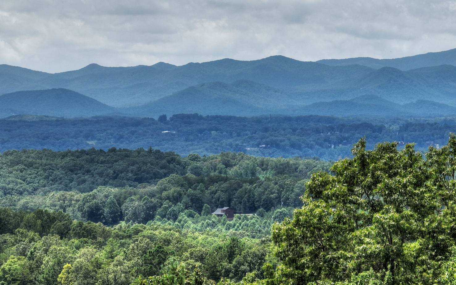 91 Cinnamon Bear Road