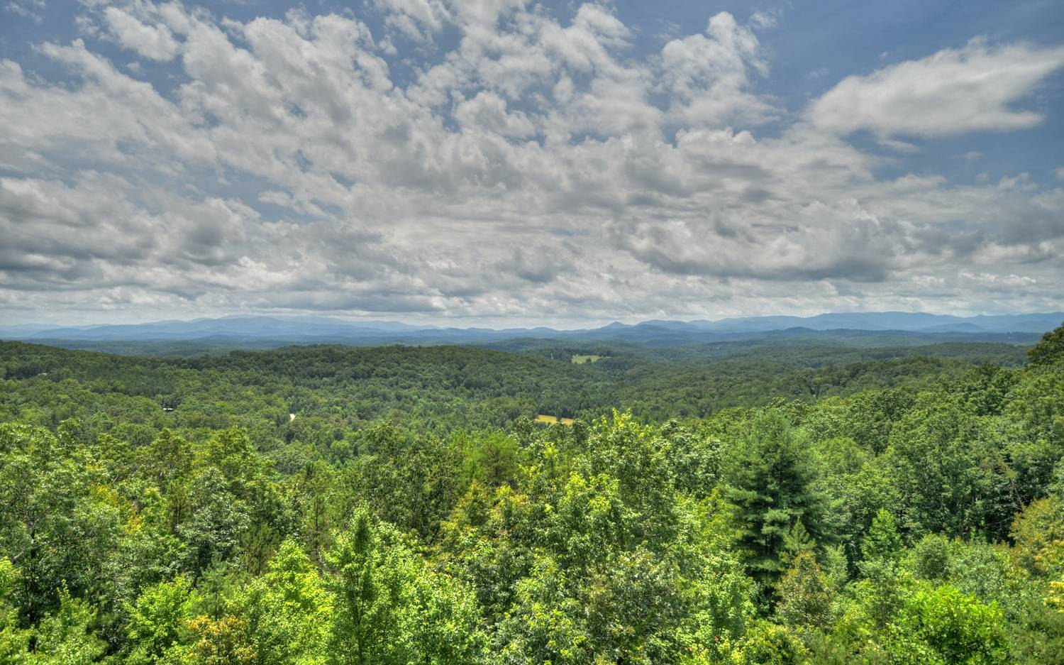 91 Cinnamon Bear Road