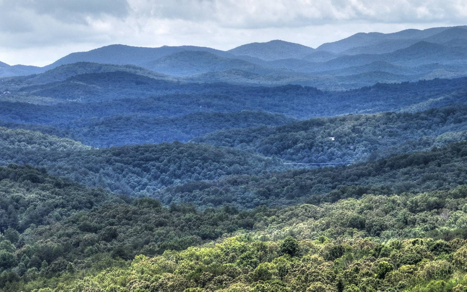 91 Cinnamon Bear Road