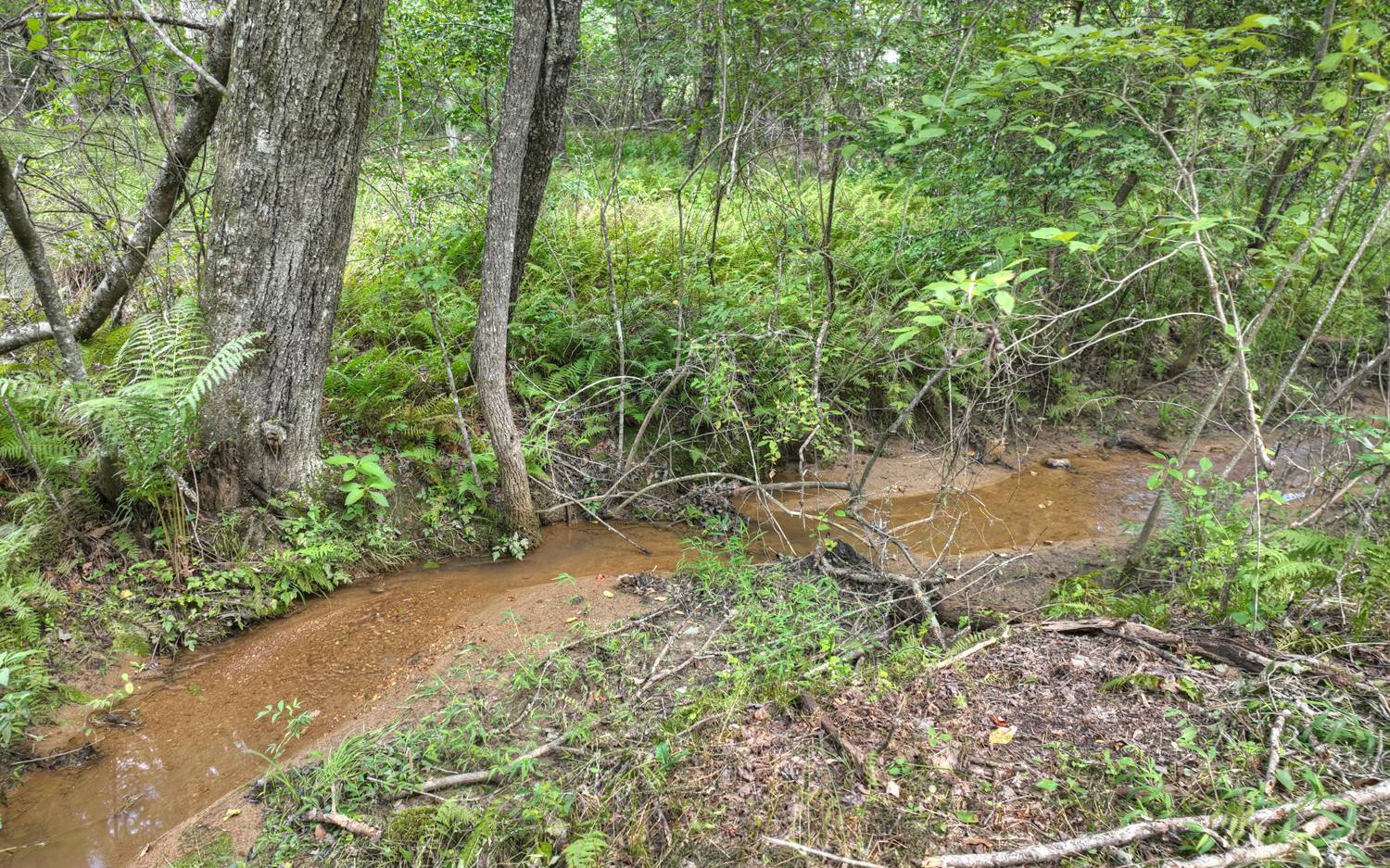 10AC Mt Pleasant/Bell Ln