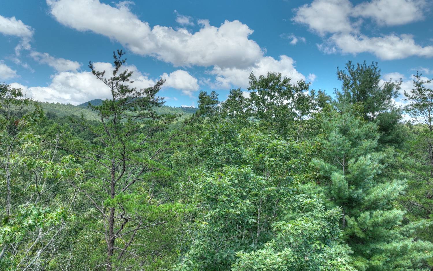 10AC Mt Pleasant/Bell Ln