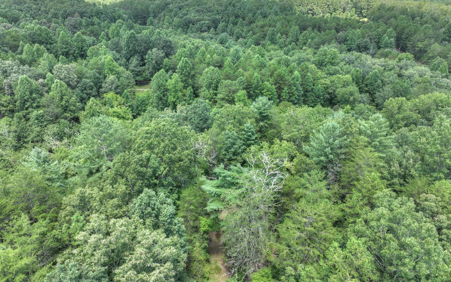 10AC Mt Pleasant/Bell Ln