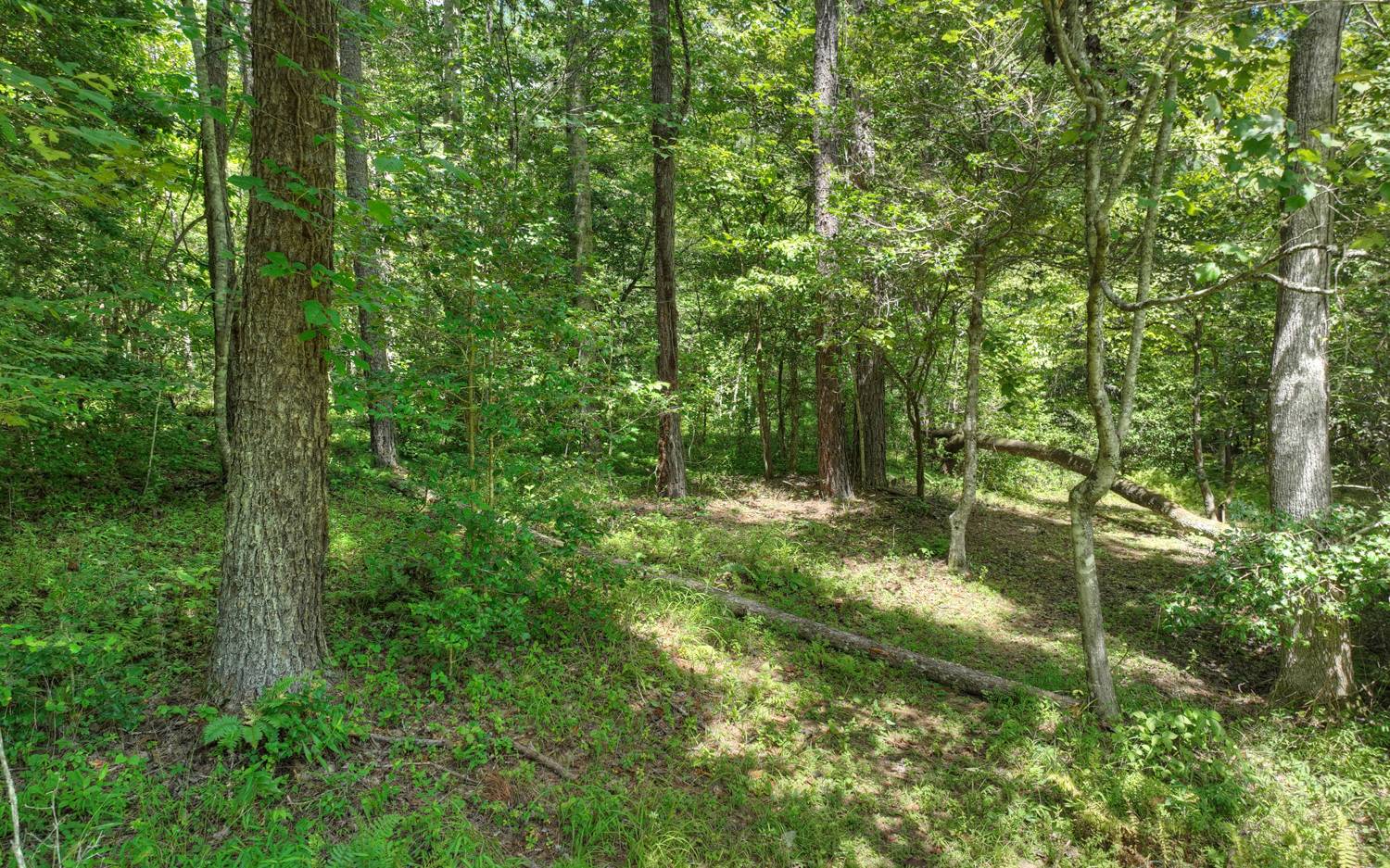 10AC Mt Pleasant/Bell Ln