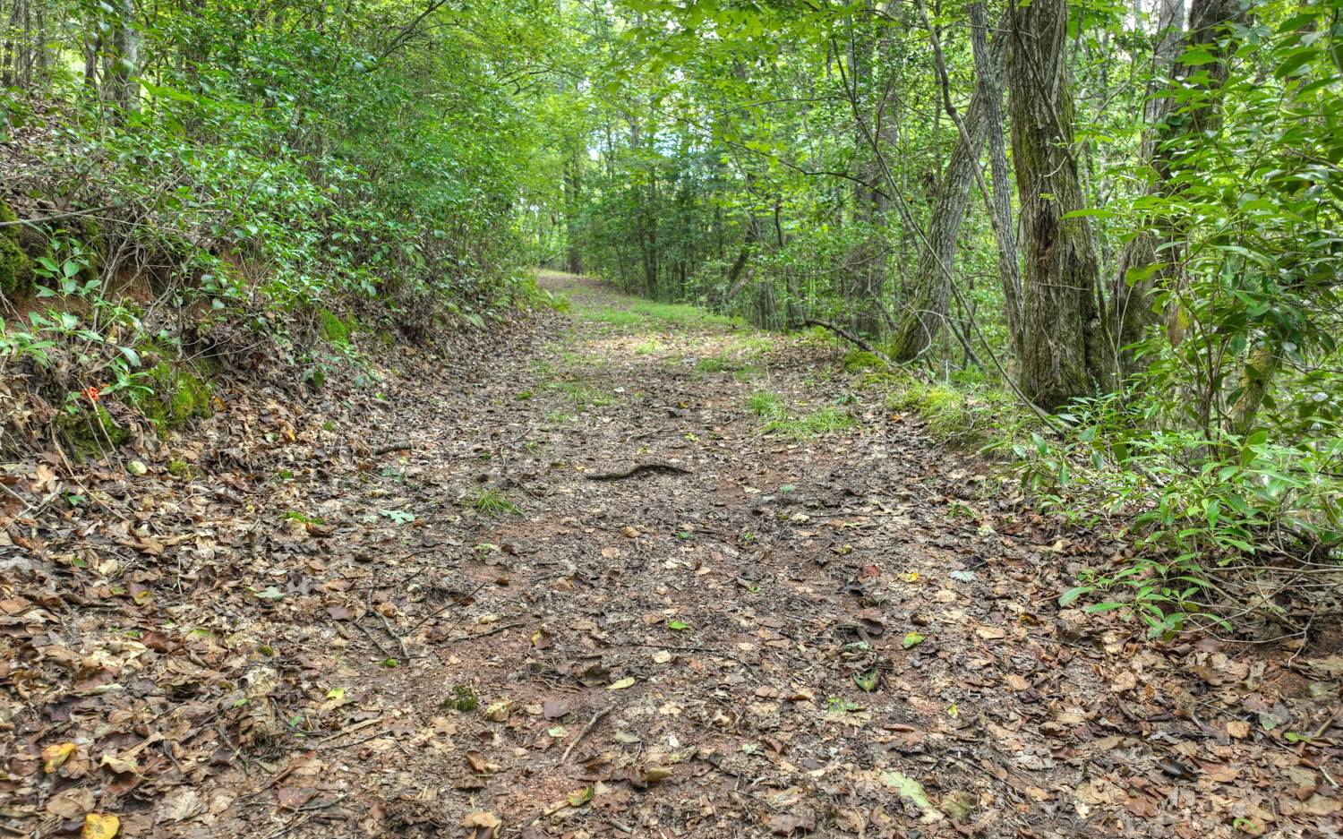 10AC Mt Pleasant/Bell Ln