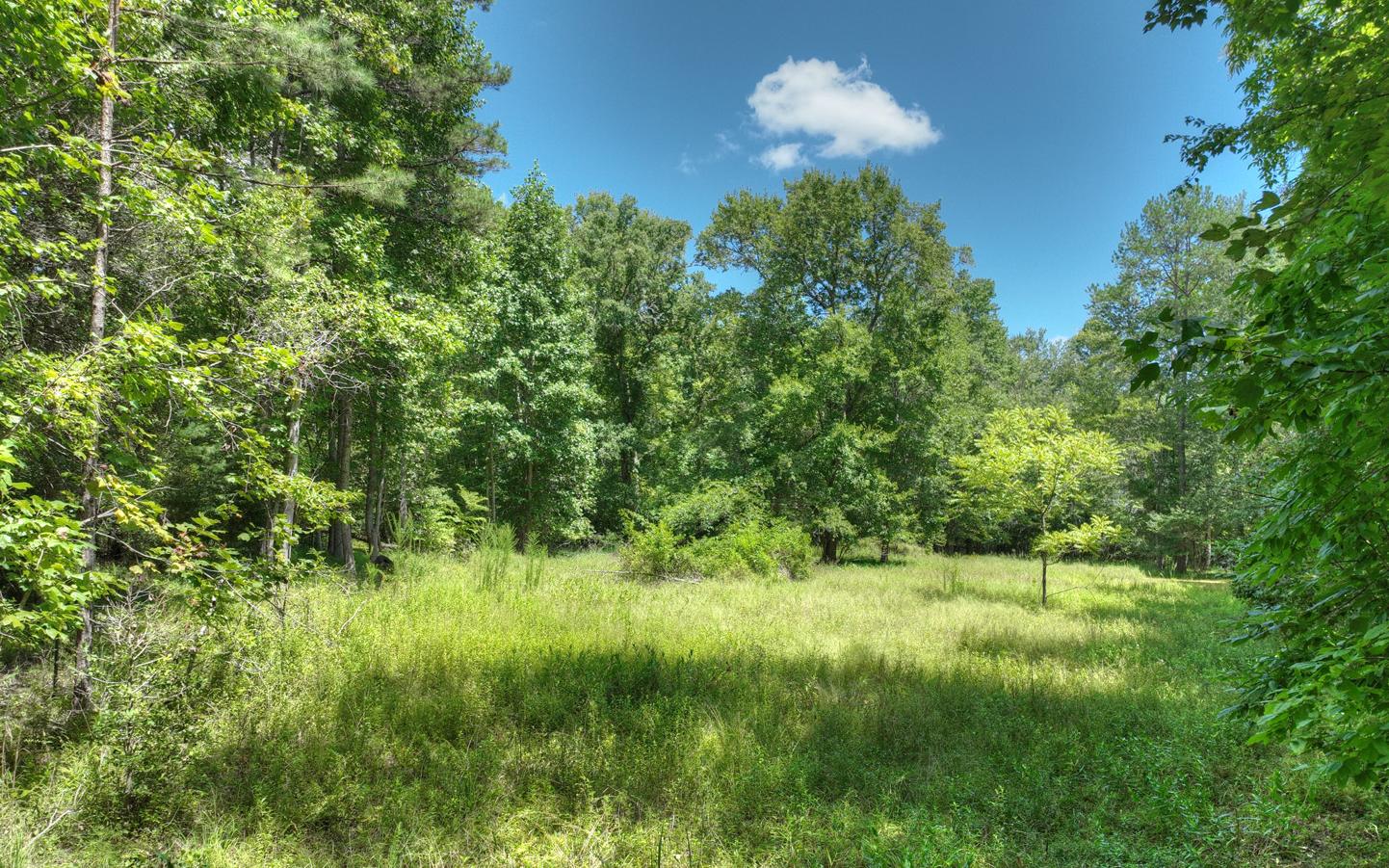 10AC Mt Pleasant/Bell Ln
