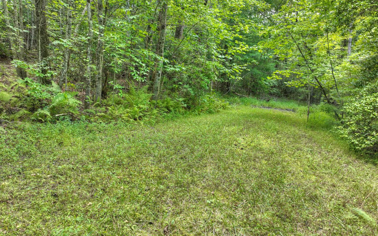 10AC Mt Pleasant/Bell Ln