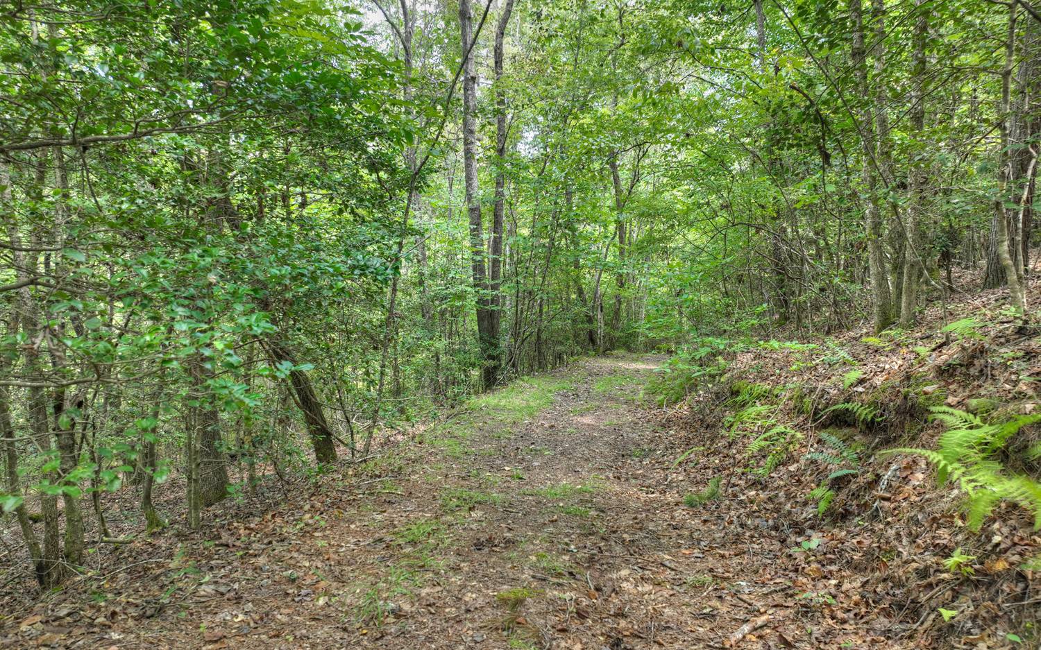 10AC Mt Pleasant/Bell Ln