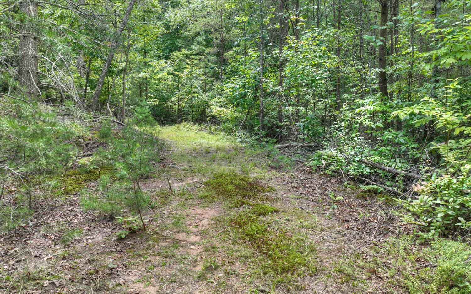 10AC Mt Pleasant/Bell Ln