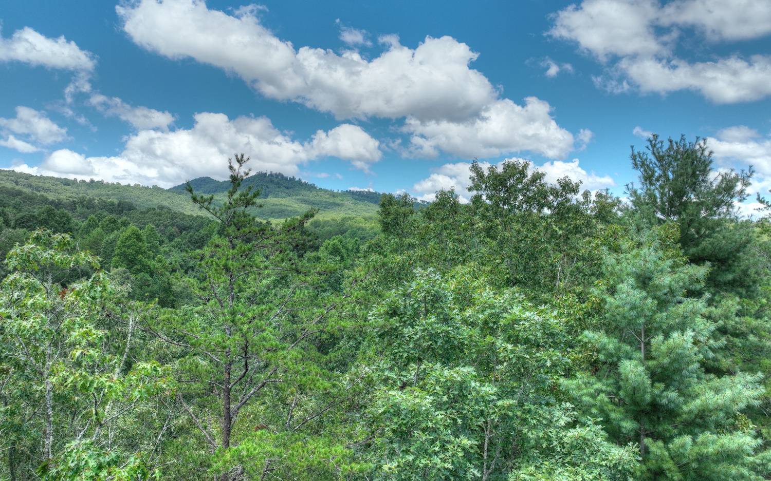 10AC Mt Pleasant/Bell Ln