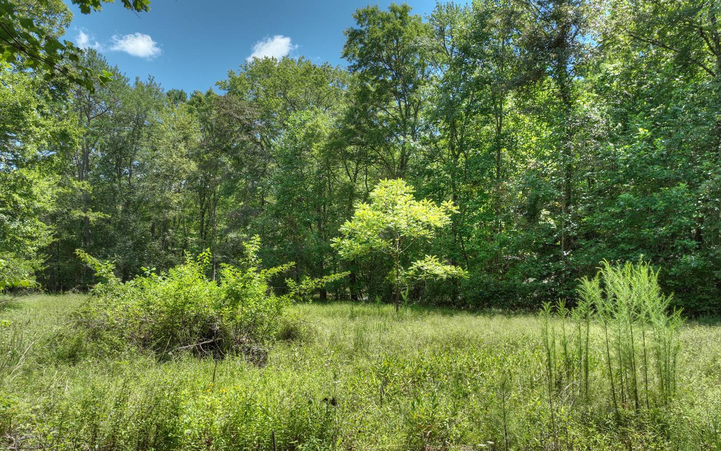 10AC Mt Pleasant/Bell Ln
