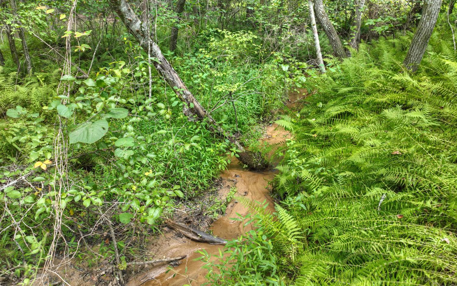 10AC Mt Pleasant/Bell Ln