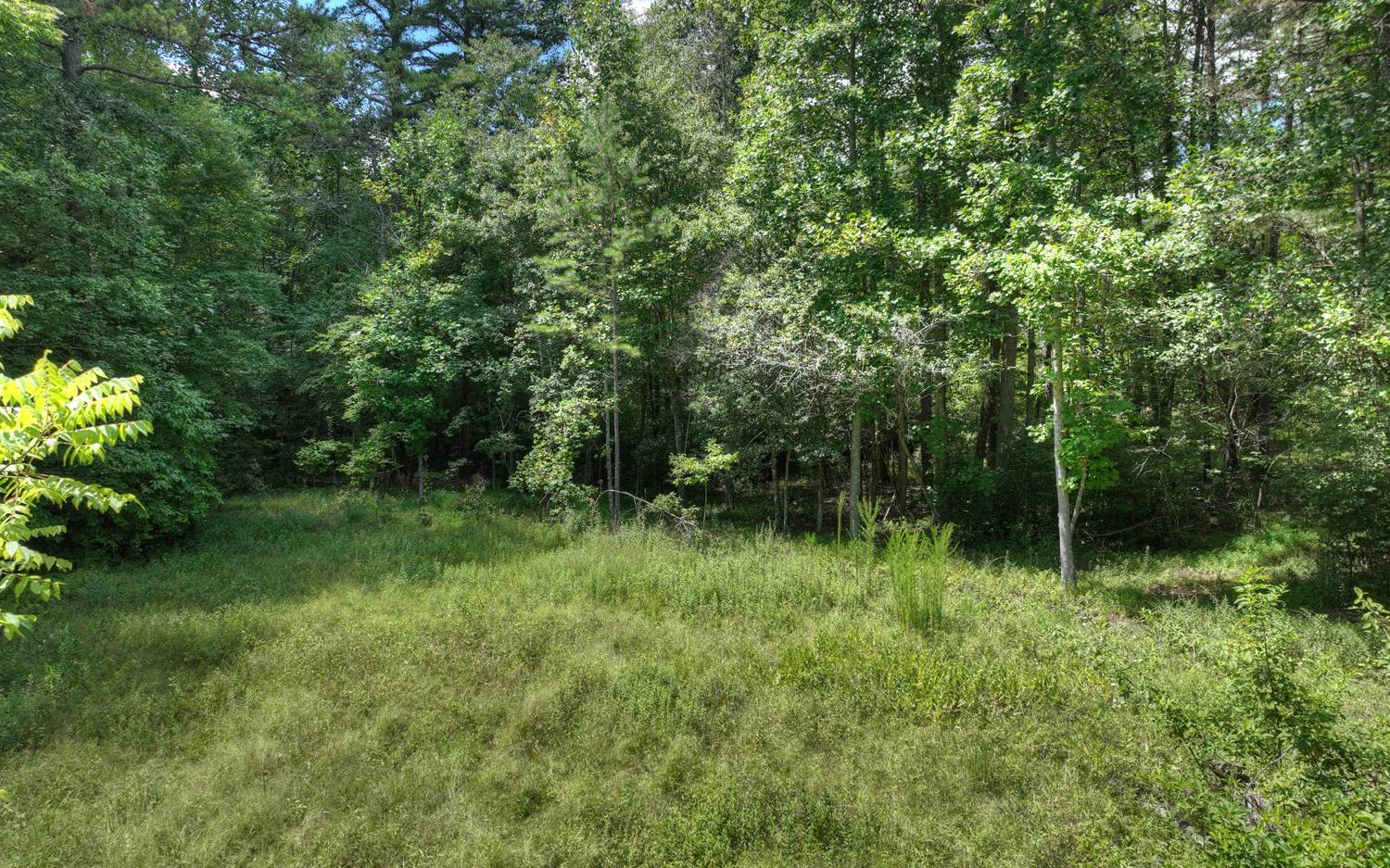 10AC Mt Pleasant/Bell Ln