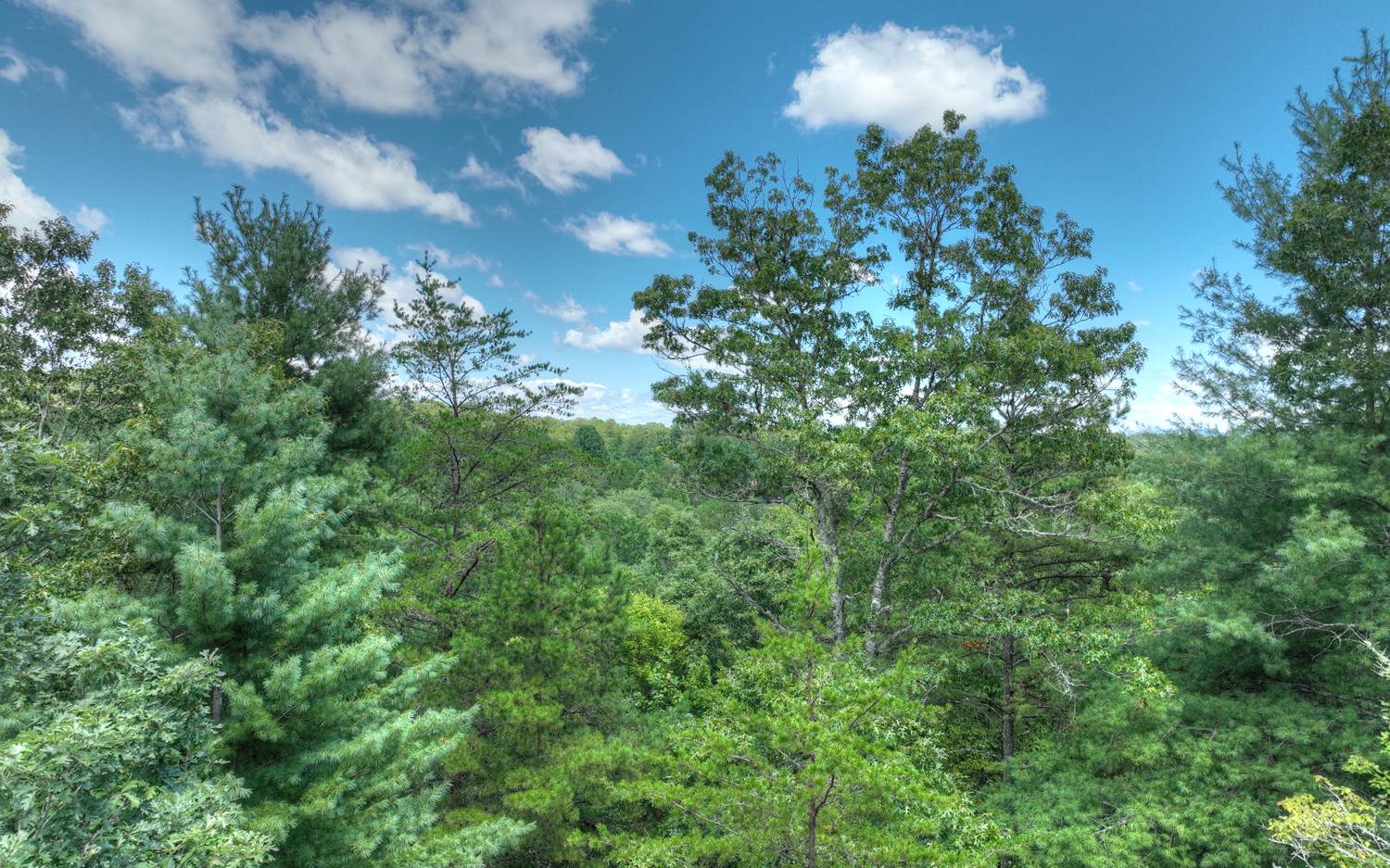 10AC Mt Pleasant/Bell Ln