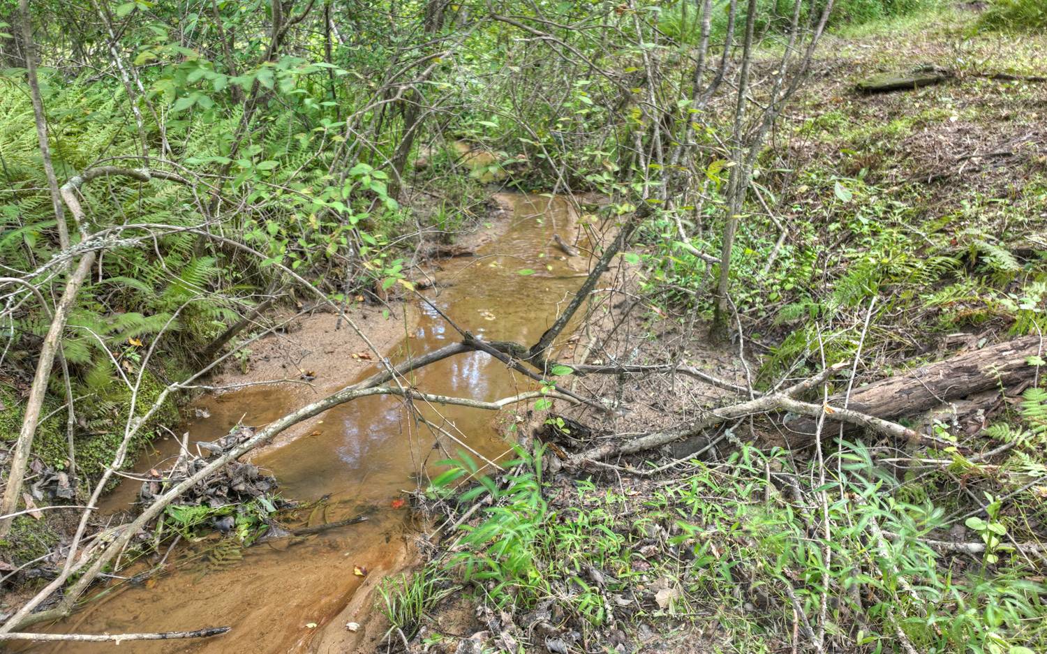 10AC Mt Pleasant/Bell Ln