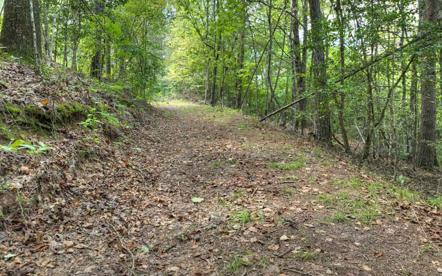 10AC Mt Pleasant/Bell Ln