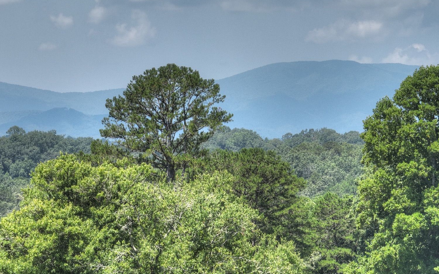 23 Maccarthy Farm Road