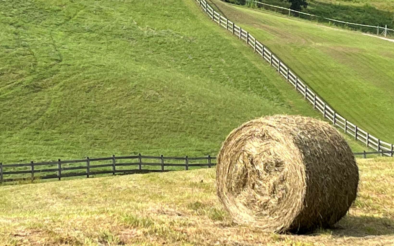 23 Maccarthy Farm Road