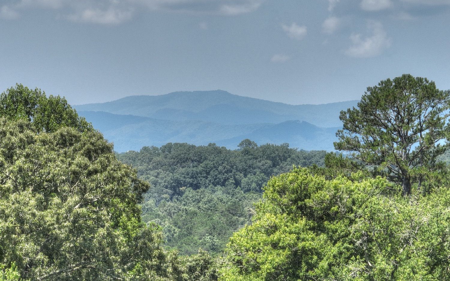 23 Maccarthy Farm Road